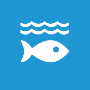 SDG 14